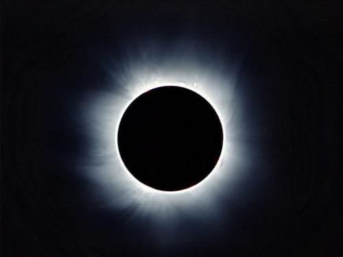 Giorgio Linguaglossa