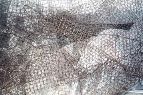 Giorgio Linguaglossa