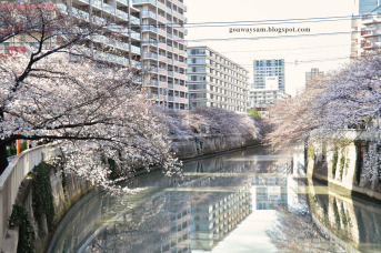 Giorgio Linguaglossa