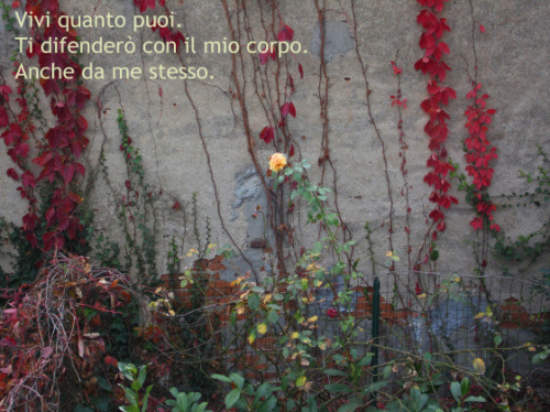 Giorgio Linguaglossa